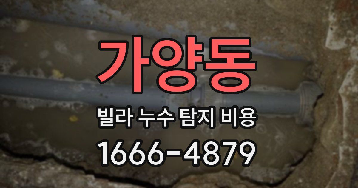 가양동 빌라 누수 탐지 비용
