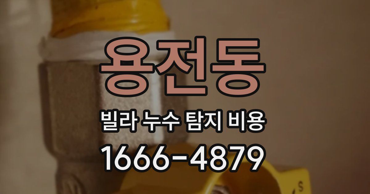 용전동 빌라 누수 탐지 비용