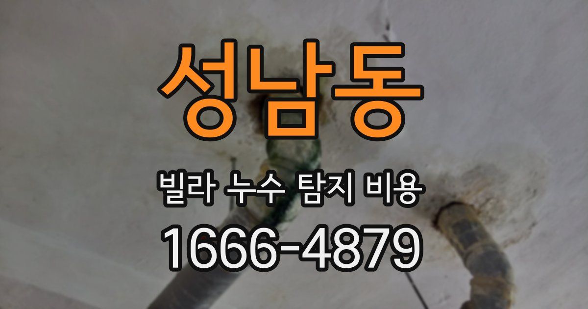 성남동 빌라 누수 탐지 비용