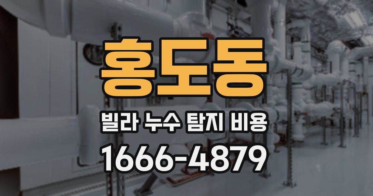홍도동 빌라 누수 탐지 비용