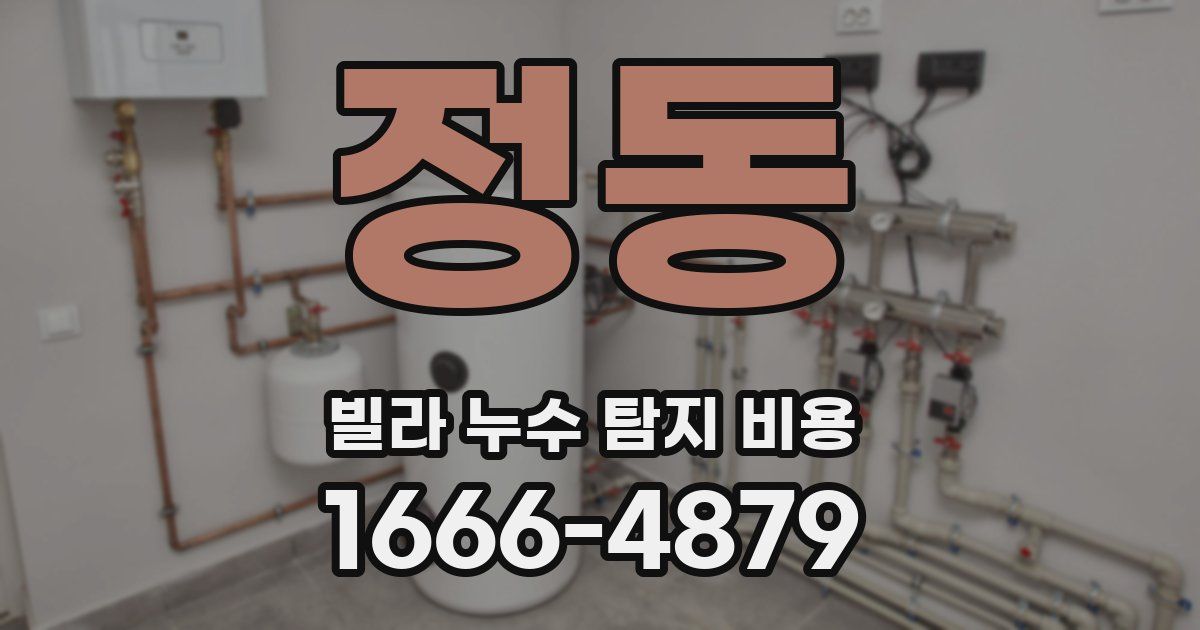 정동 빌라 누수 탐지 비용
