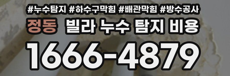 정동 빌라 누수 탐지 비용
