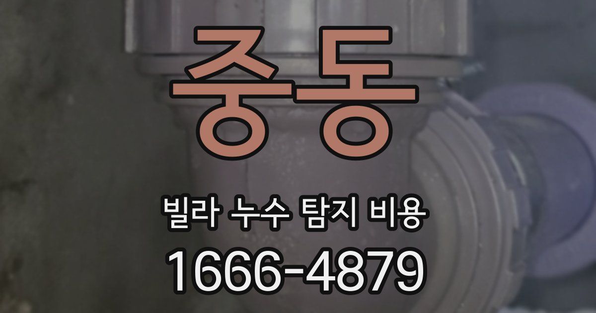 중동 빌라 누수 탐지 비용
