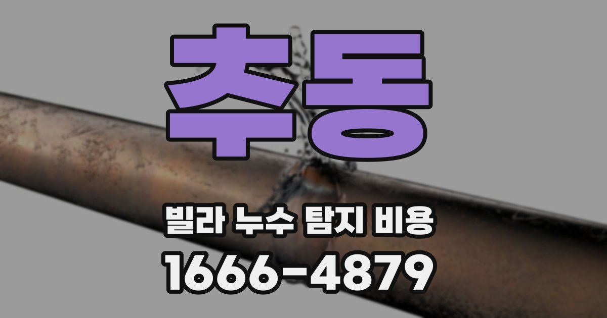 추동 빌라 누수 탐지 비용