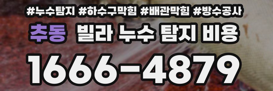 추동 빌라 누수 탐지 비용