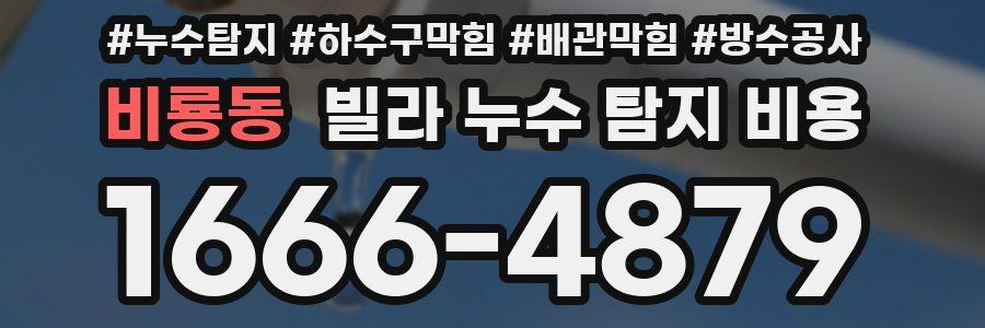 비룡동 빌라 누수 탐지 비용