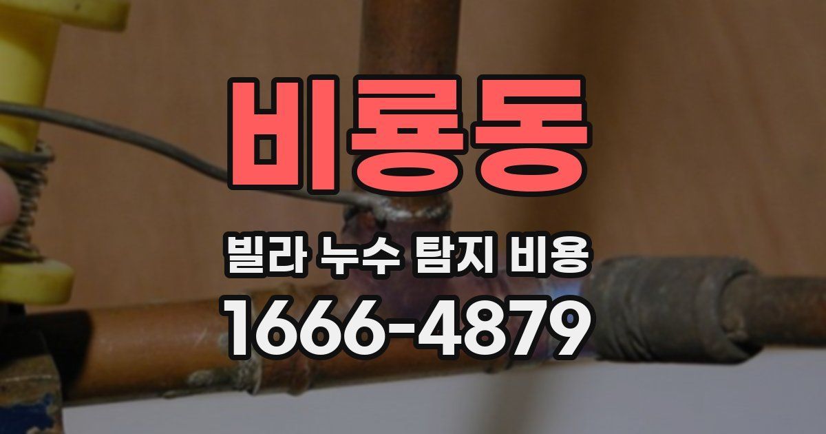 비룡동 빌라 누수 탐지 비용