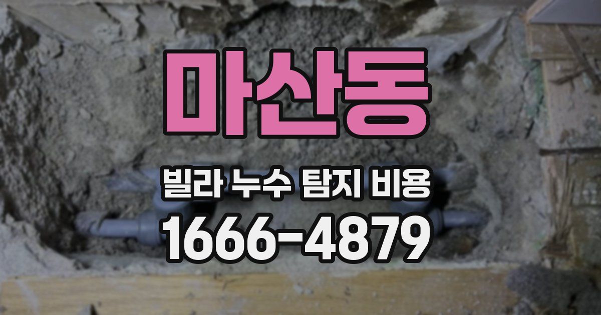 마산동 빌라 누수 탐지 비용