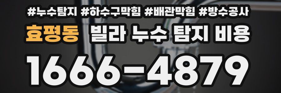 효평동 빌라 누수 탐지 비용