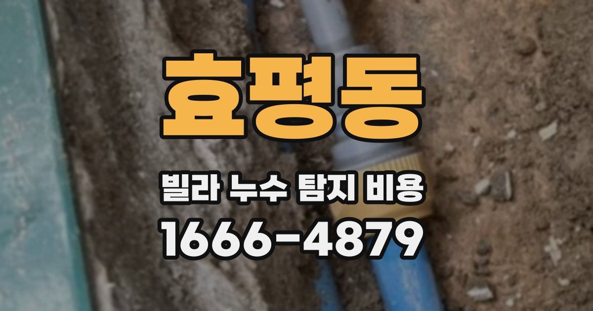 효평동 빌라 누수 탐지 비용