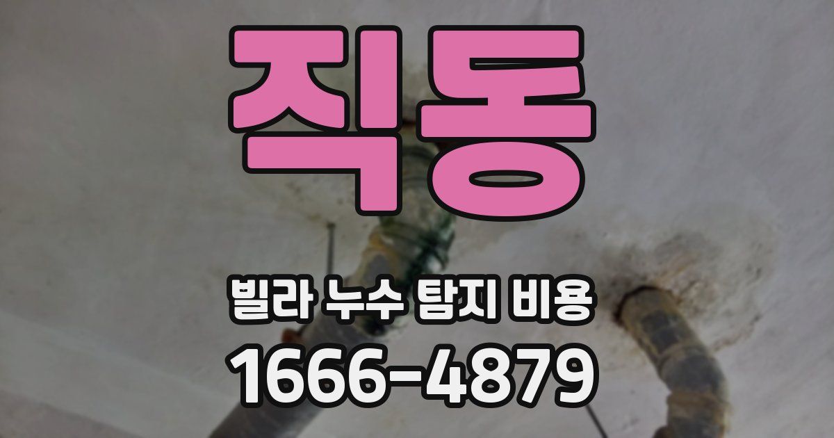 직동 빌라 누수 탐지 비용