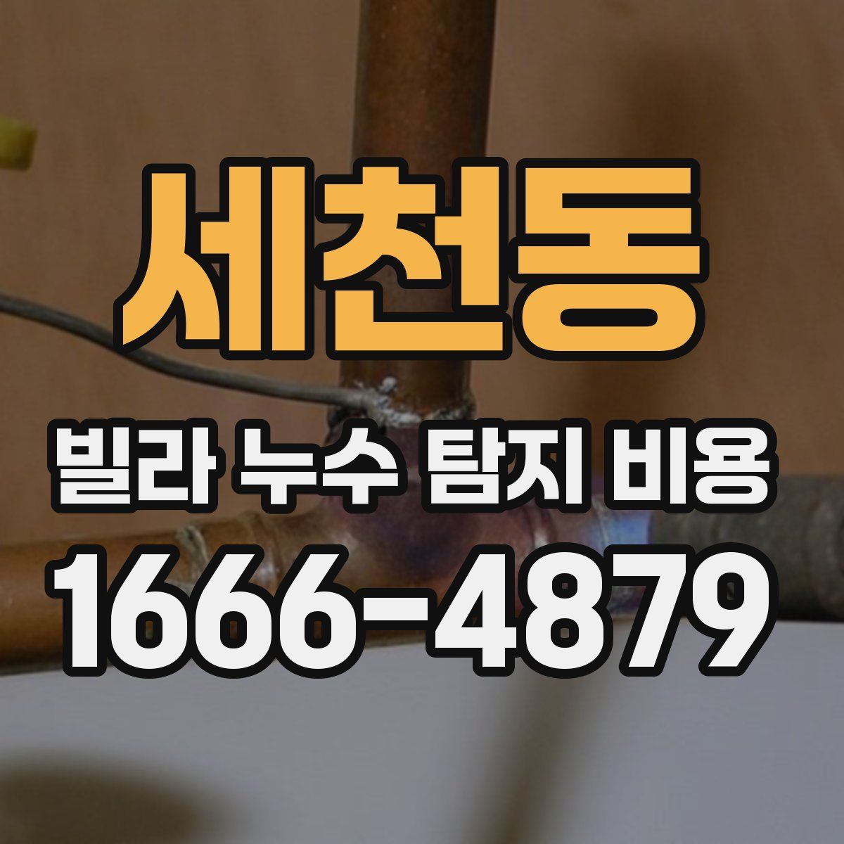 세천동 빌라 누수 탐지 비용