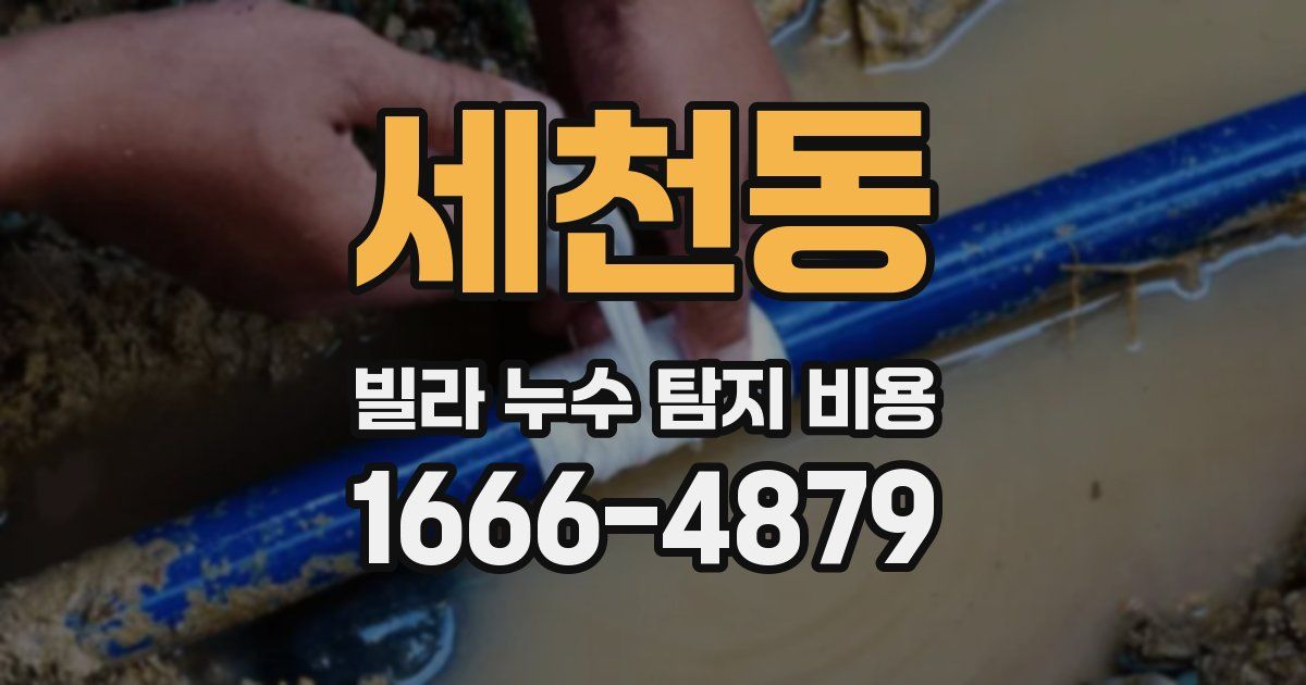 세천동 빌라 누수 탐지 비용
