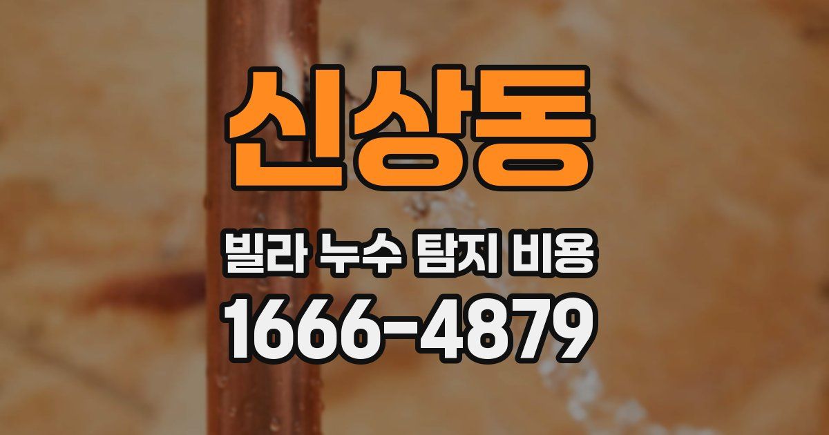 신상동 빌라 누수 탐지 비용