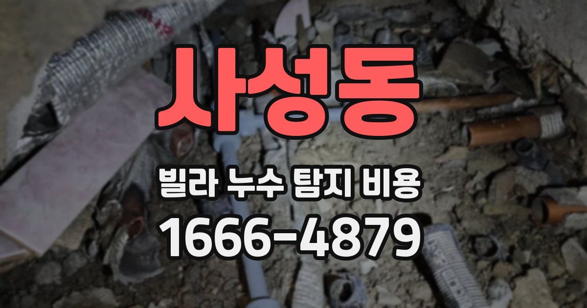 사성동 빌라 누수 탐지 비용