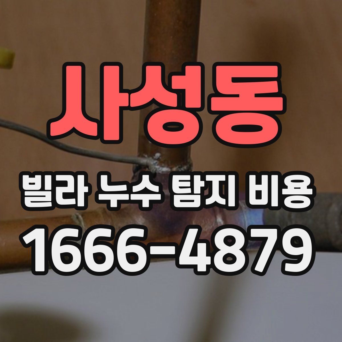 사성동 빌라 누수 탐지 비용