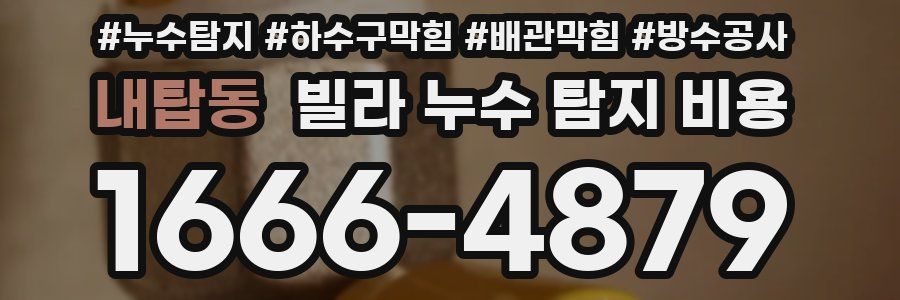 내탑동 빌라 누수 탐지 비용