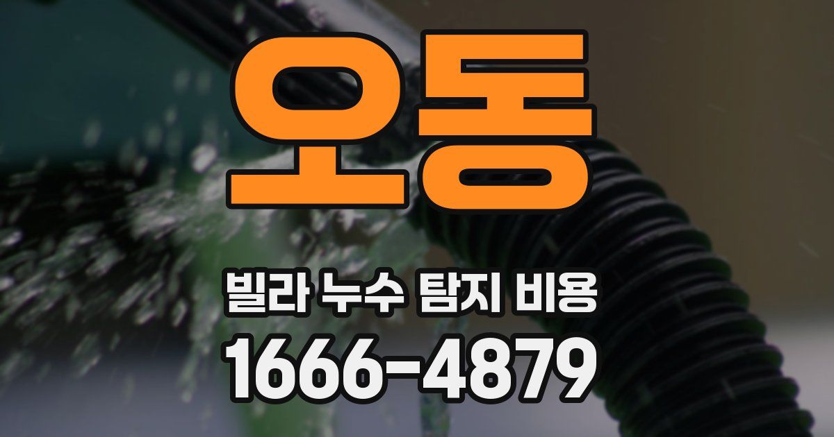 오동 빌라 누수 탐지 비용