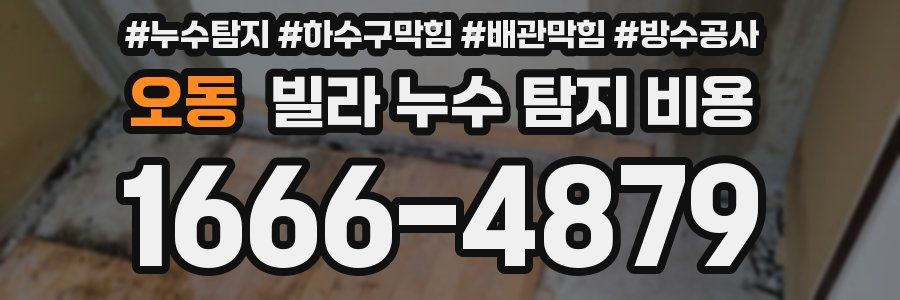 오동 빌라 누수 탐지 비용