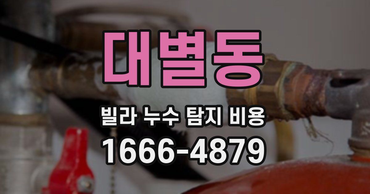 대별동 빌라 누수 탐지 비용