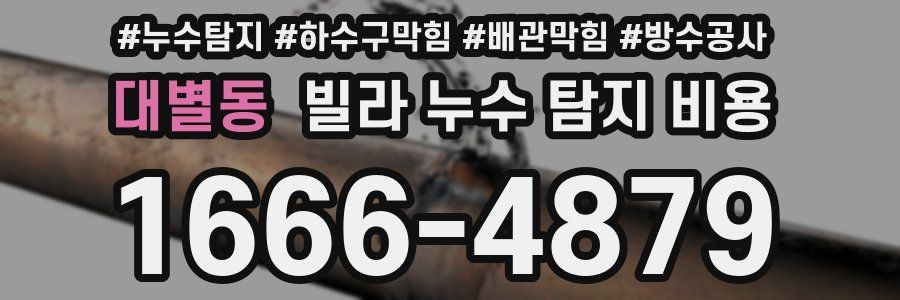 대별동 빌라 누수 탐지 비용