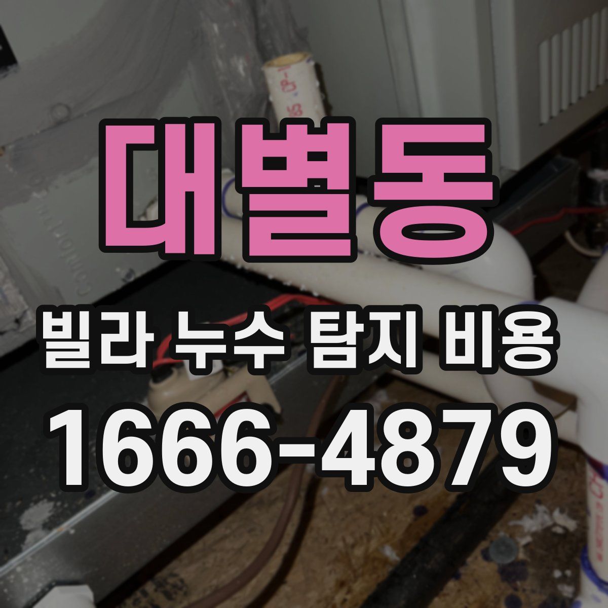 대별동 빌라 누수 탐지 비용