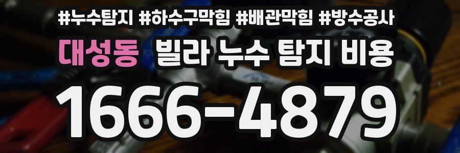 대성동 빌라 누수 탐지 비용