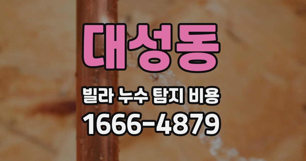 대성동 빌라 누수 탐지 비용