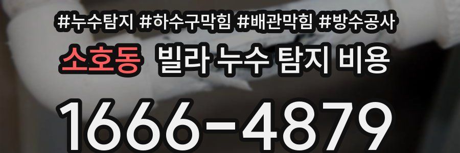 소호동 빌라 누수 탐지 비용