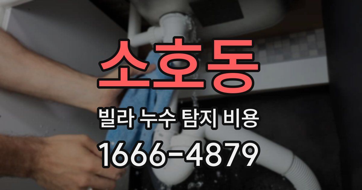 소호동 빌라 누수 탐지 비용