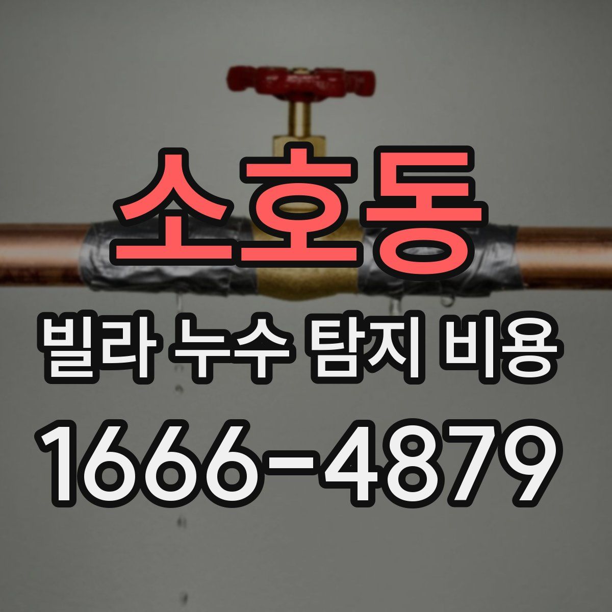 소호동 빌라 누수 탐지 비용