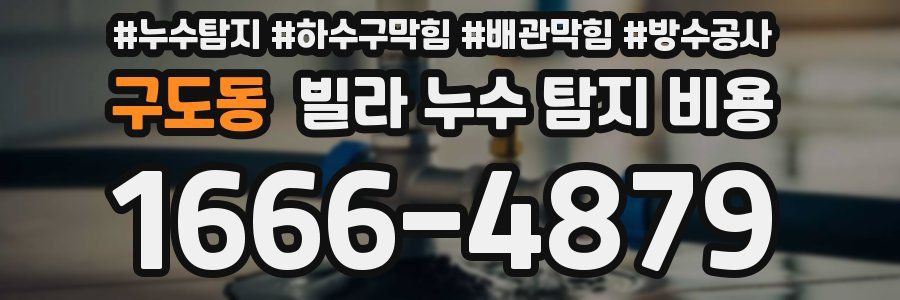 구도동 빌라 누수 탐지 비용