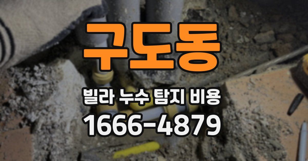 구도동 빌라 누수 탐지 비용