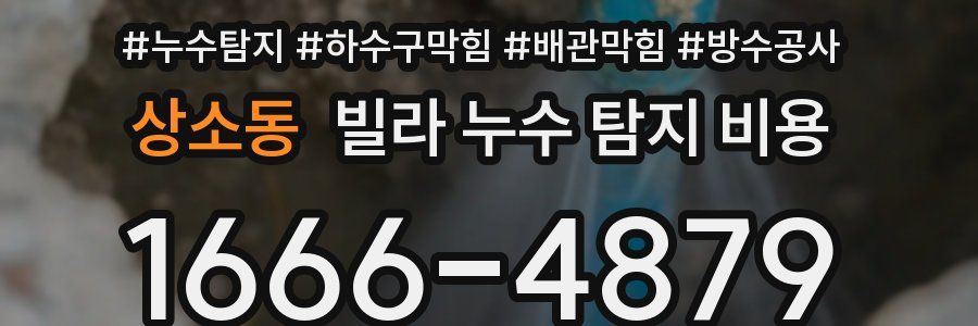 상소동 빌라 누수 탐지 비용