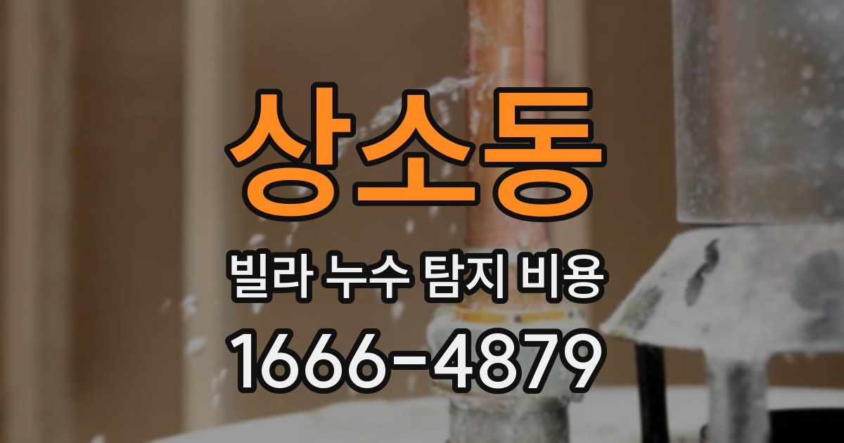 상소동 빌라 누수 탐지 비용