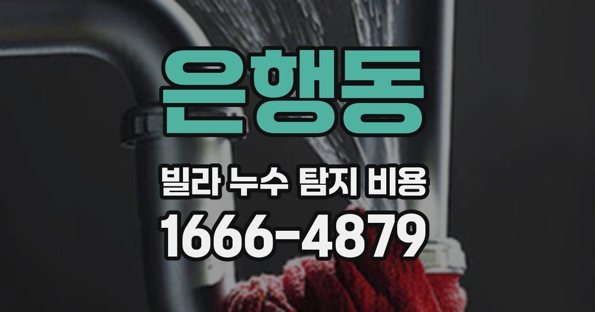 은행동 빌라 누수 탐지 비용
