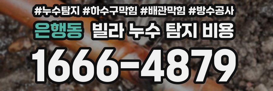 은행동 빌라 누수 탐지 비용