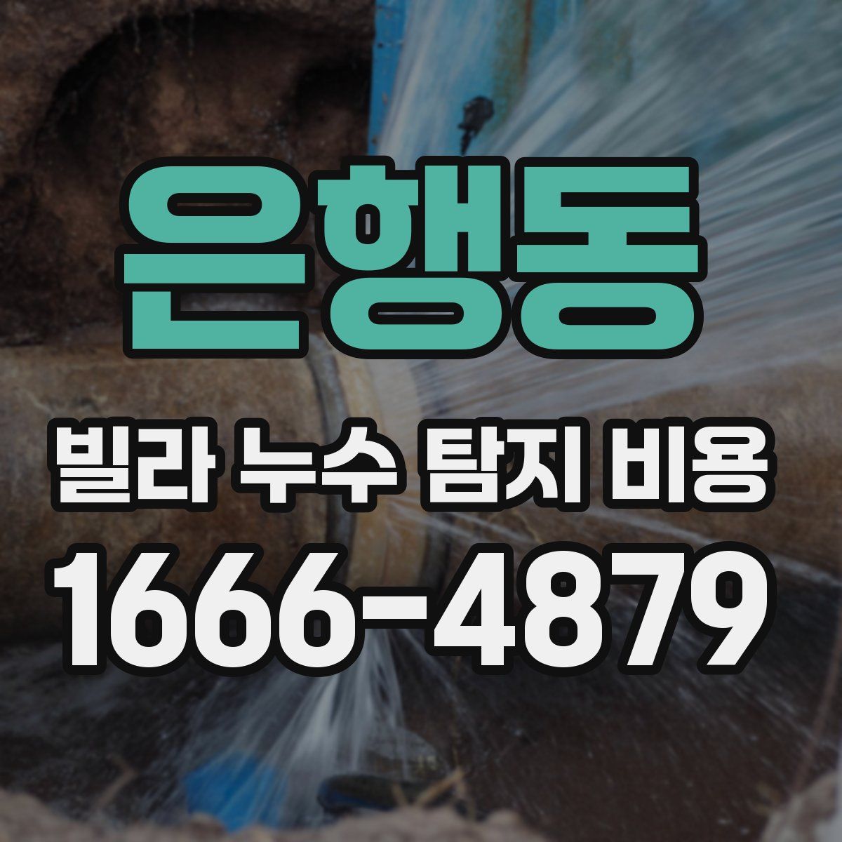 은행동 빌라 누수 탐지 비용