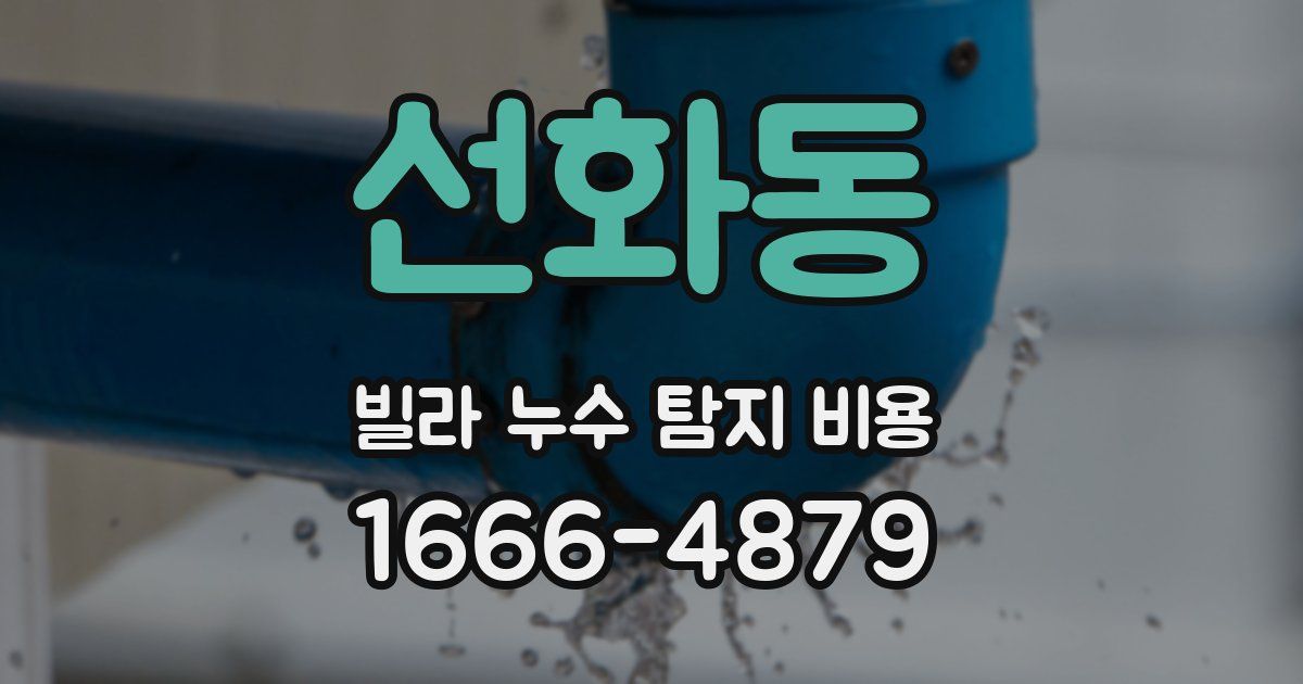 선화동 빌라 누수 탐지 비용