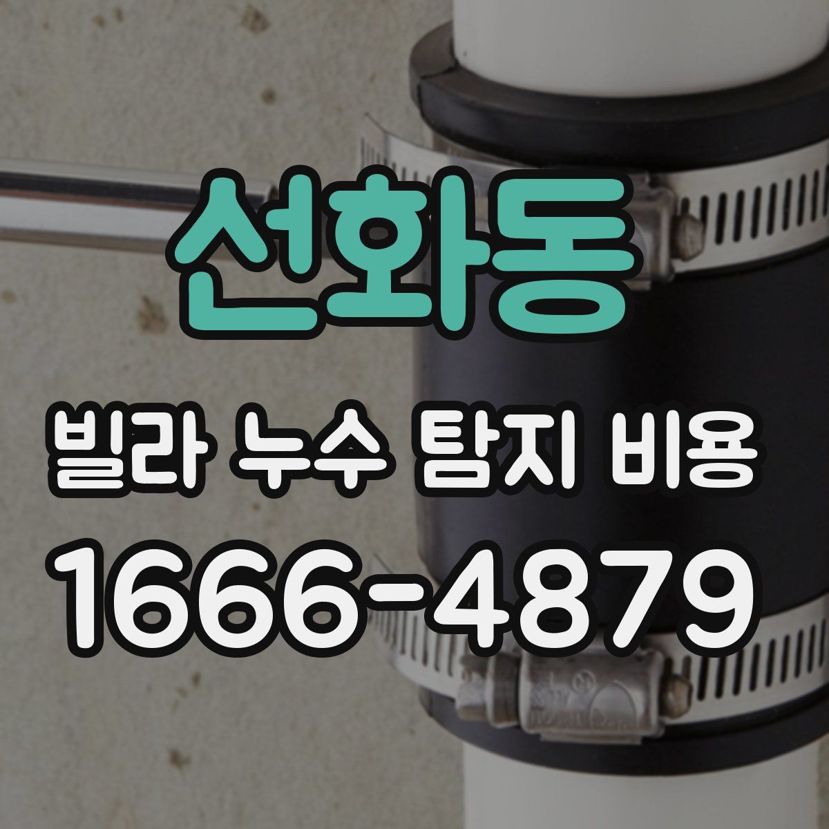 선화동 빌라 누수 탐지 비용