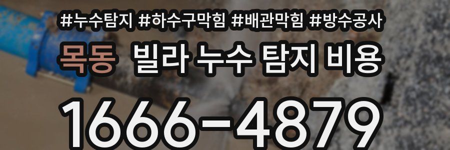 목동 빌라 누수 탐지 비용