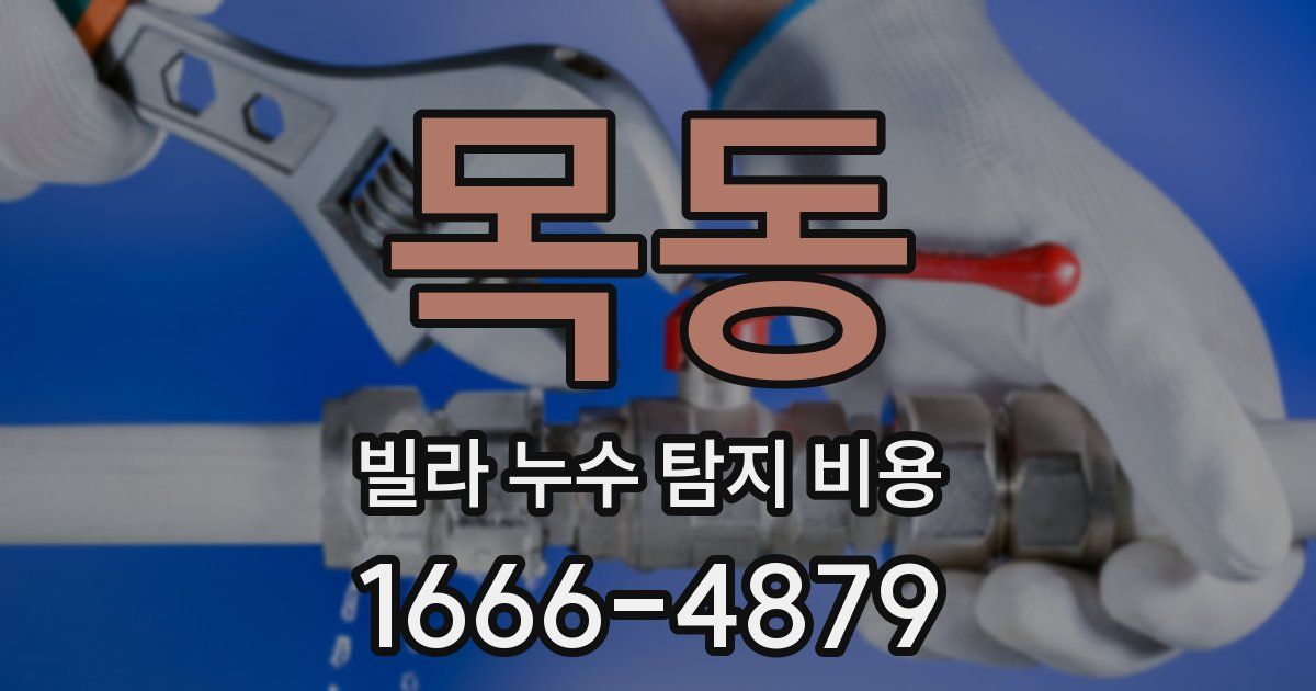 목동 빌라 누수 탐지 비용