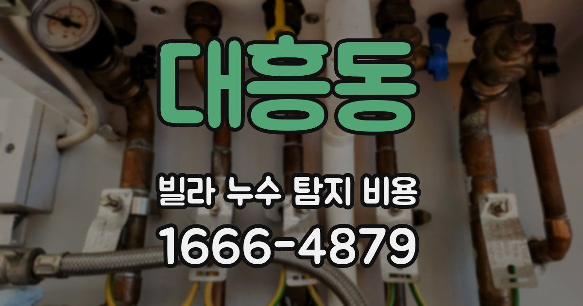대흥동 빌라 누수 탐지 비용