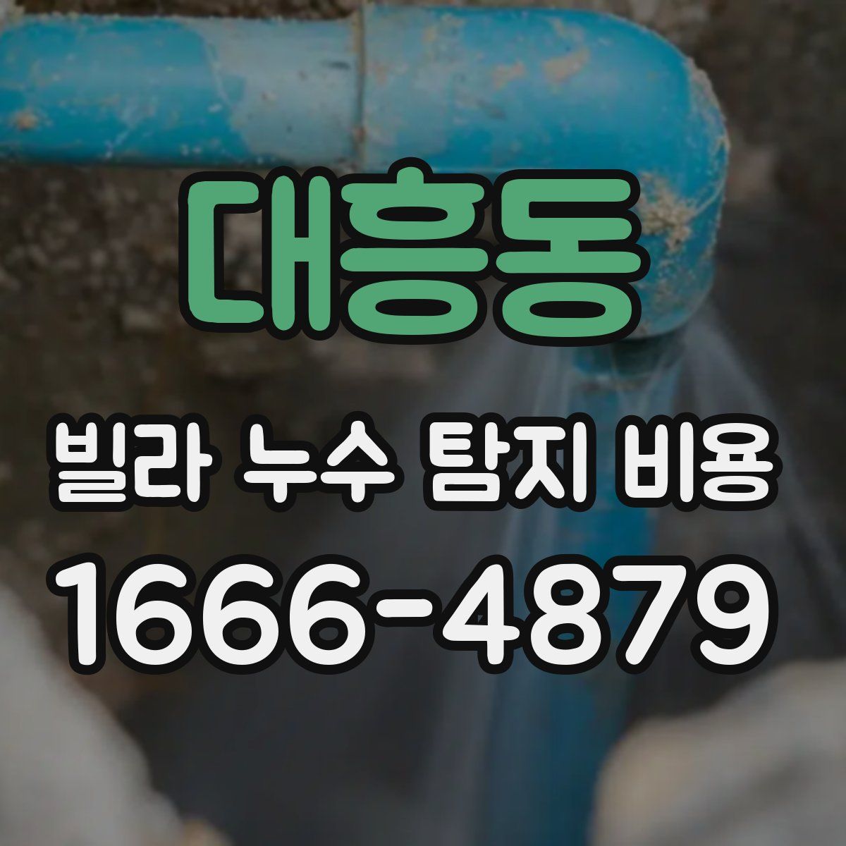 대흥동 빌라 누수 탐지 비용