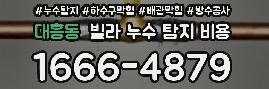 대흥동 빌라 누수 탐지 비용
