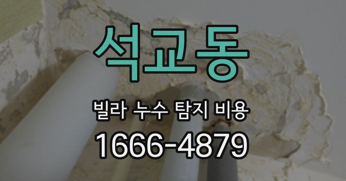 석교동 빌라 누수 탐지 비용