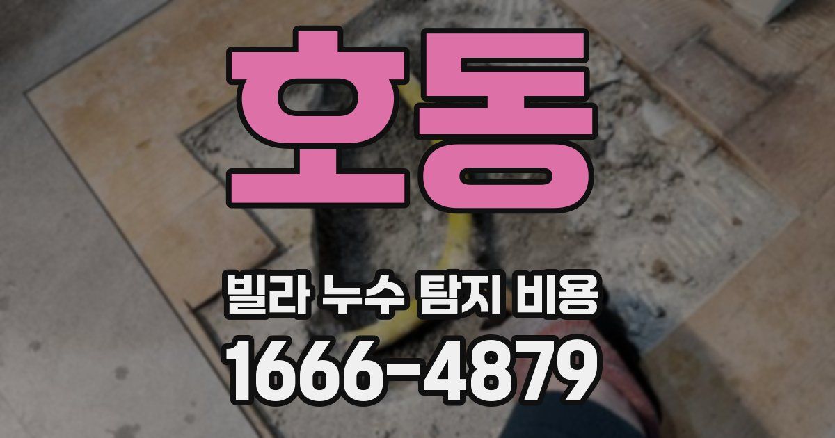 호동 빌라 누수 탐지 비용