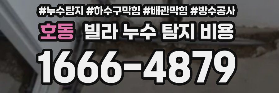 호동 빌라 누수 탐지 비용
