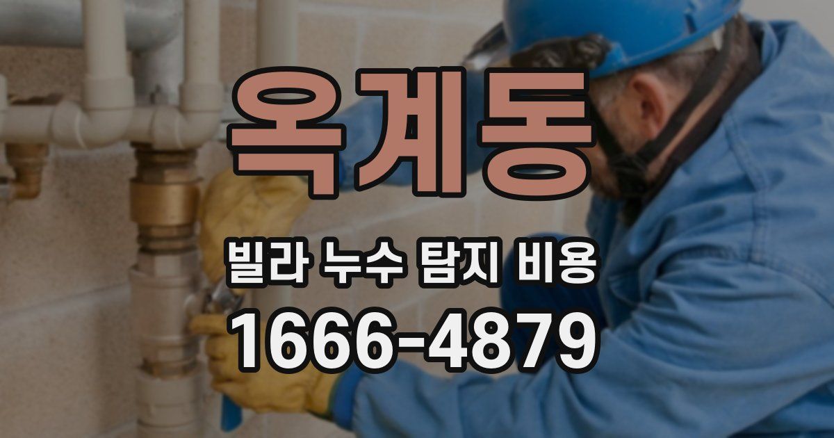 옥계동 빌라 누수 탐지 비용