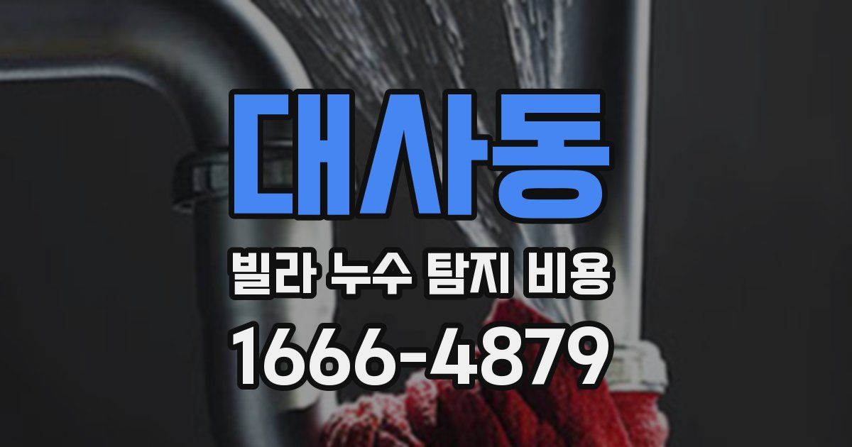 대사동 빌라 누수 탐지 비용